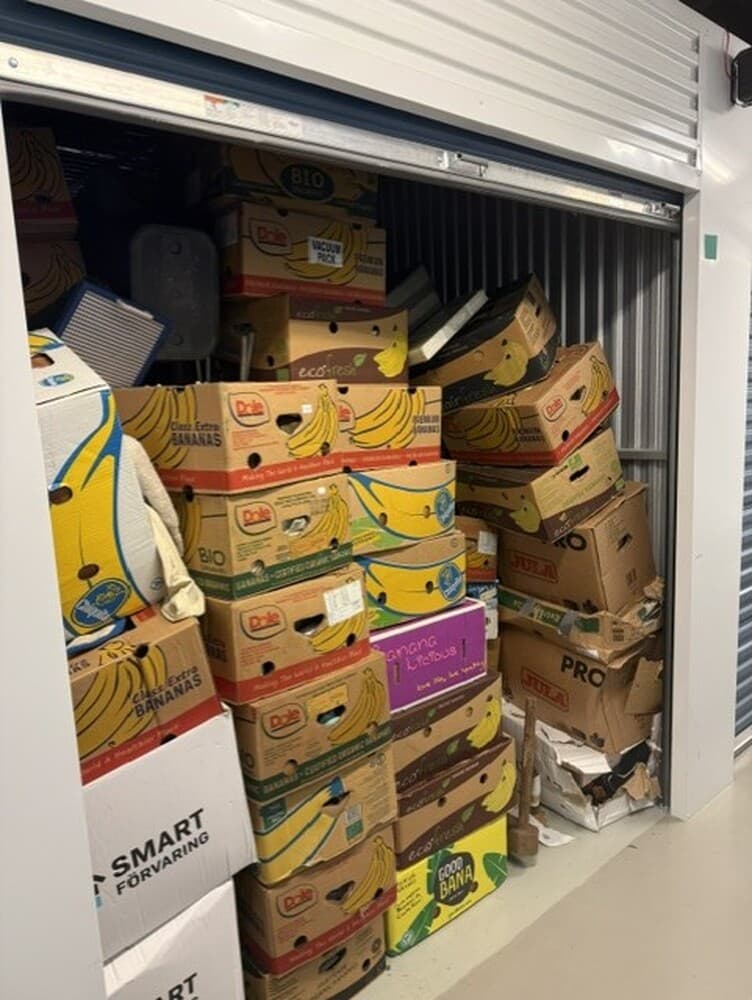 Self Storage Auction #IB-1796