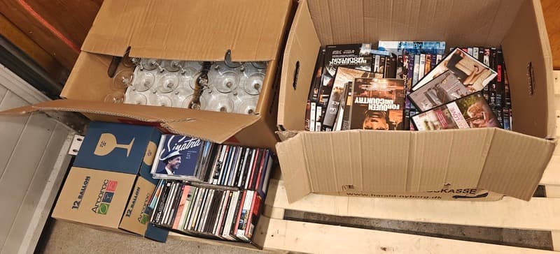 Self Storage Auction #IB-2041