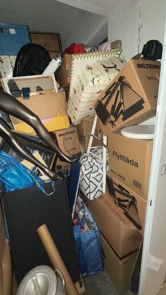 Self Storage Auction #IB-3414