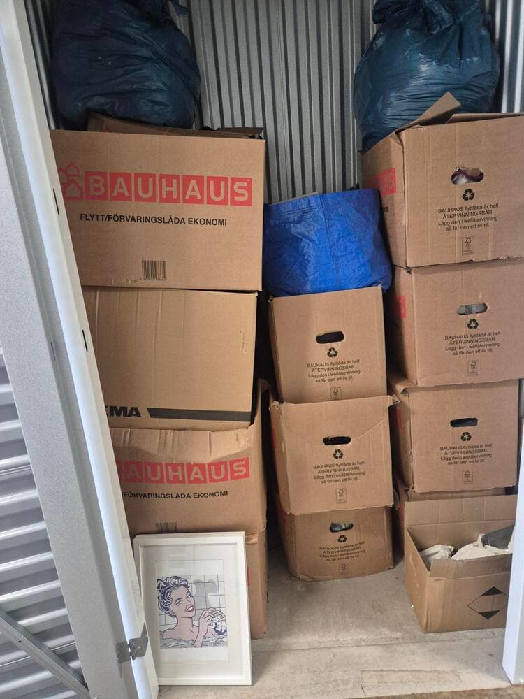 Self Storage Auction #IB-8908