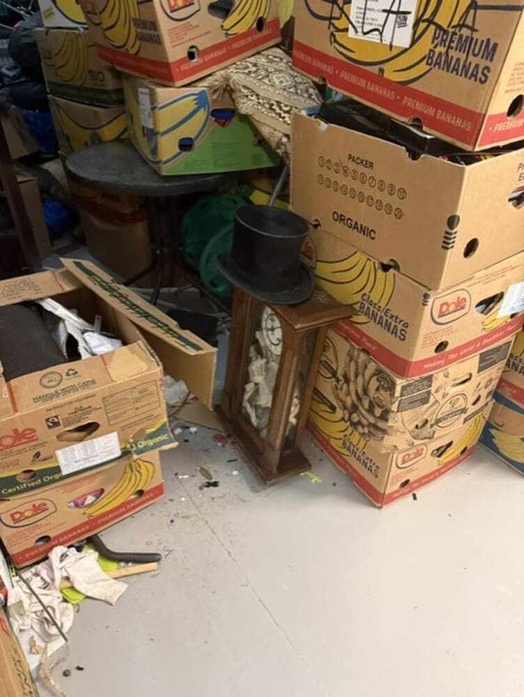 Self Storage Auction #IB-6551