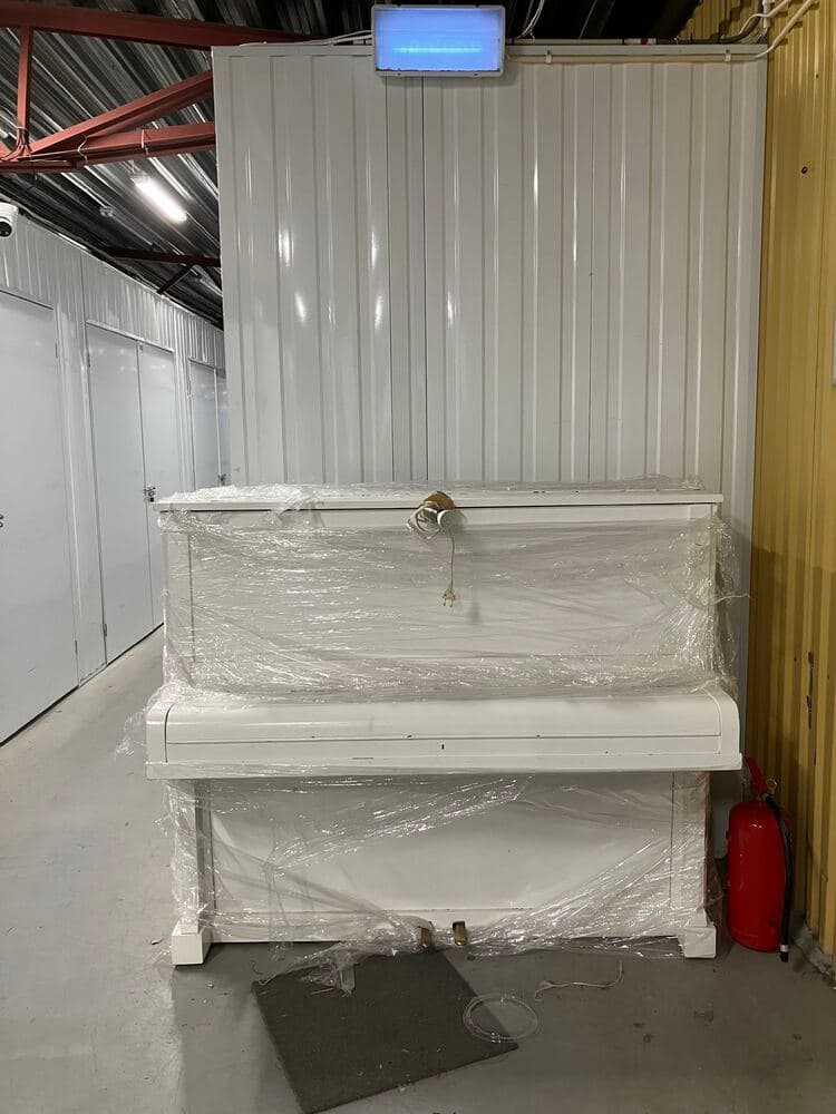 Self Storage Auction #IB-7829