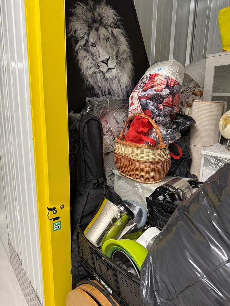 Self Storage Auction #IB-7560