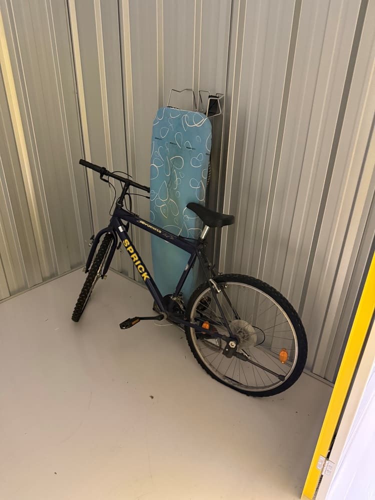 Self Storage Auction #IB-4650