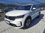 KIA SORENTO 2023r. SK023XP The vehicle is located in the company AACAR sp. z o.o. Chestnut 5, 32-400 Jawornik - Carefleet vehicles - Personal - EFL auctions