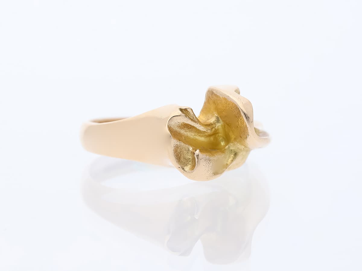 Lapponia+Ring+nicht+zutreffend+585+Gelbgold+14+kt. - image 3