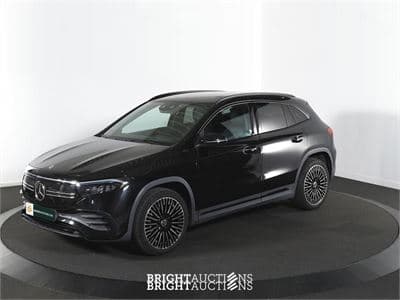 Electric Vehicle Auction