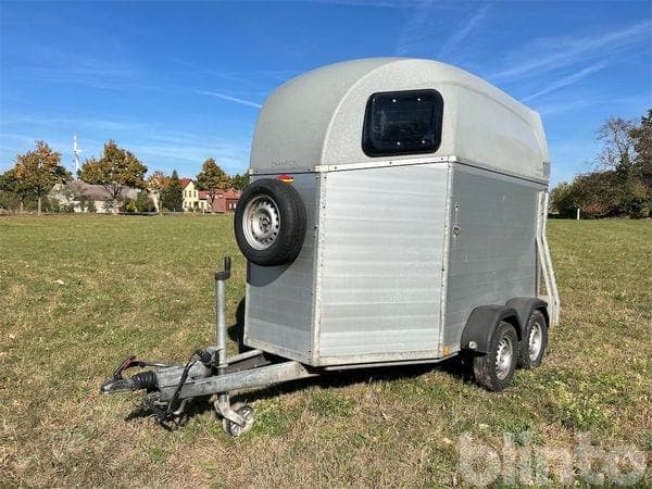 Horse trailer Böckmann Champion Esprit (2021)