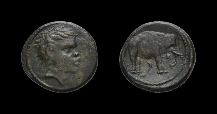 Etrurien, Æ (5,33g), 3. Jh. v. Chr. Av: Kopf eines Afrikaners nach rechts. Rev: Elefant nach rechts. Sambon 145, sehr schön. Ex Münzen und - image 2