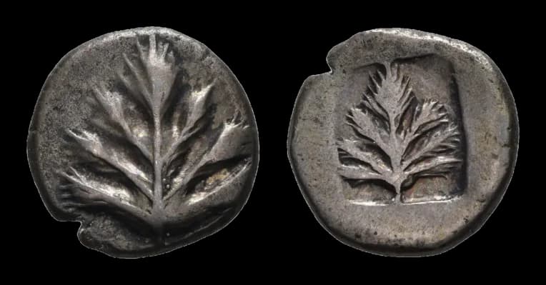 Sizilien, Selinus, Didrachme (8,44g), ca. 500-480 v. Chr. Av: Eppichblatt. Rev: Eppichblatt in Quadratum incusum. Vgl. SNG Lloyd 1211, sehr schön. - image 2