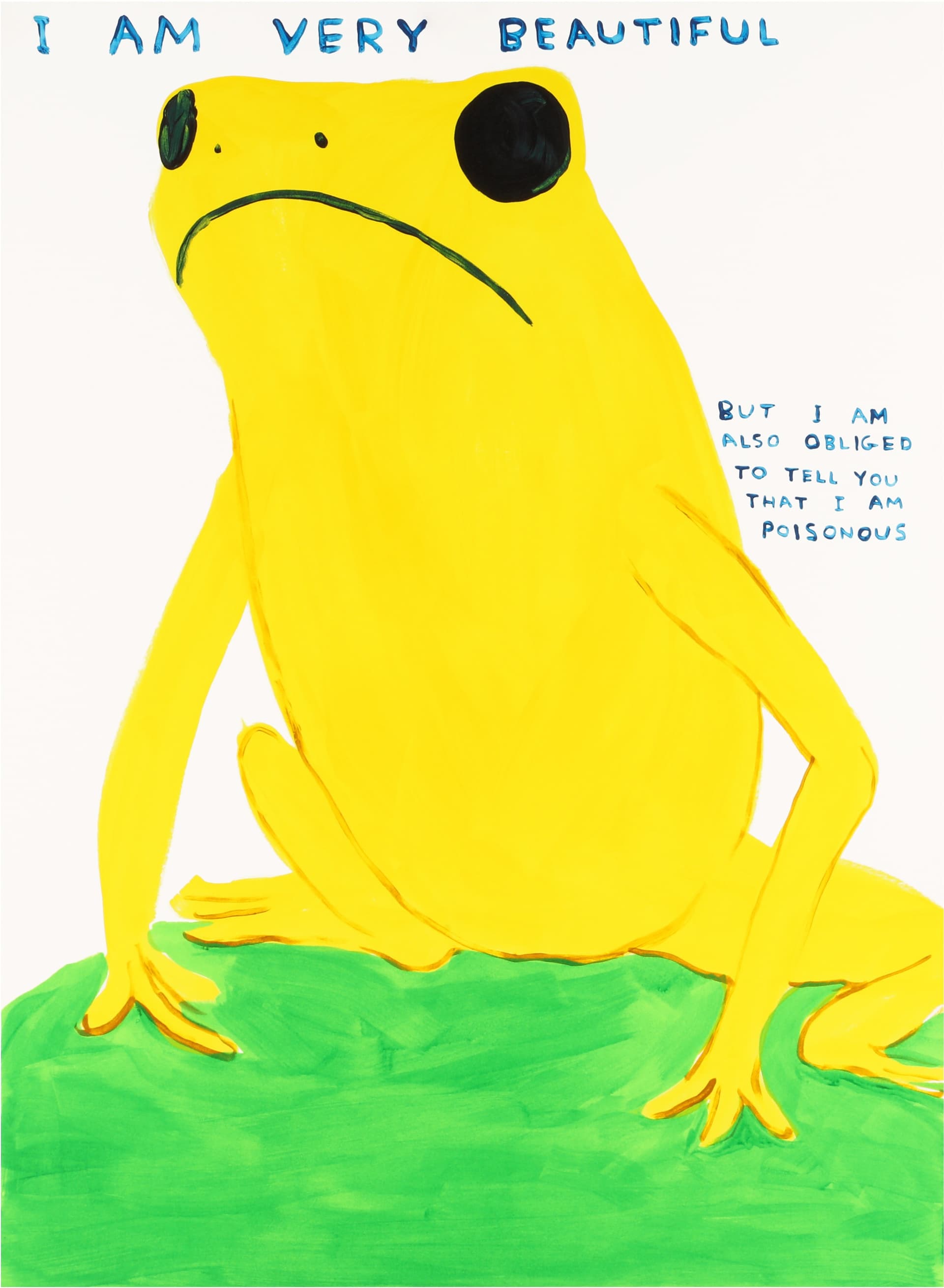 § David Shrigley O.B.E. (britisch, b.1968) Ich bin sehr schön