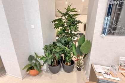 6 Kunstpflanzen
