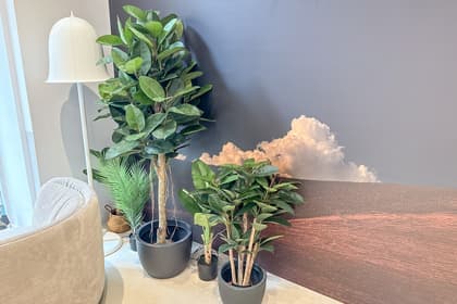 5 Kunstpflanzen