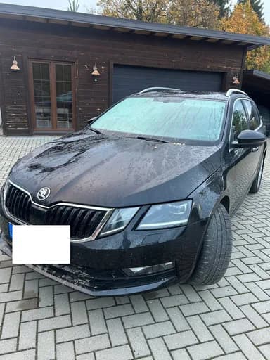 Skoda Octavia / 2018 / Lazdijų District