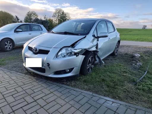 Toyota Auris / 2007 / Alytus region