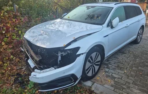 VW Passat / 2021 / Zarasai