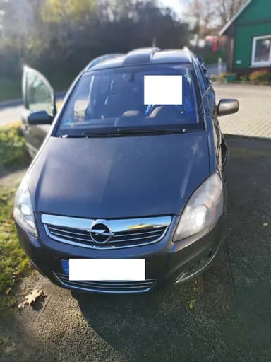 Opel Zafira / 2010 / Trakai District