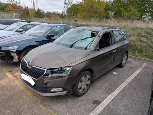 Skoda Fabia / 2020 / Vilnius