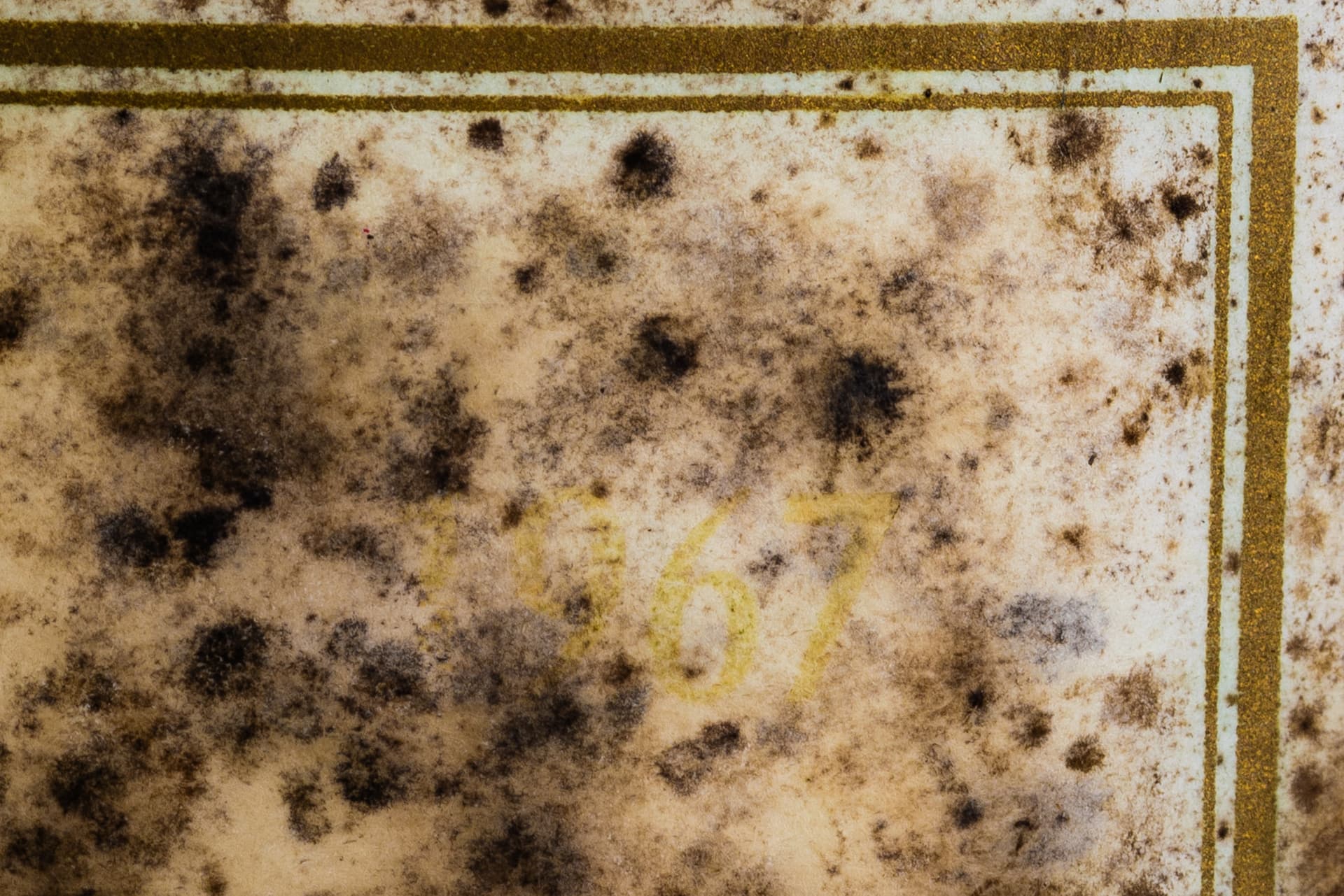 PAIR OF 1967 CHÂTEAU GRUAUD-LAROSE GRAND CRU CLASSÉ SAINT-JULIEN BORDEAUX. - image 5