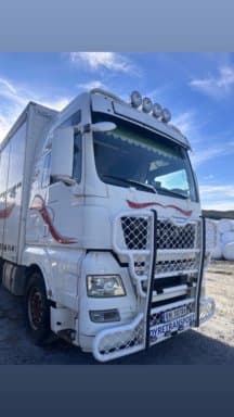 Animal transport MAN TGX26,5406X4BL rep object
