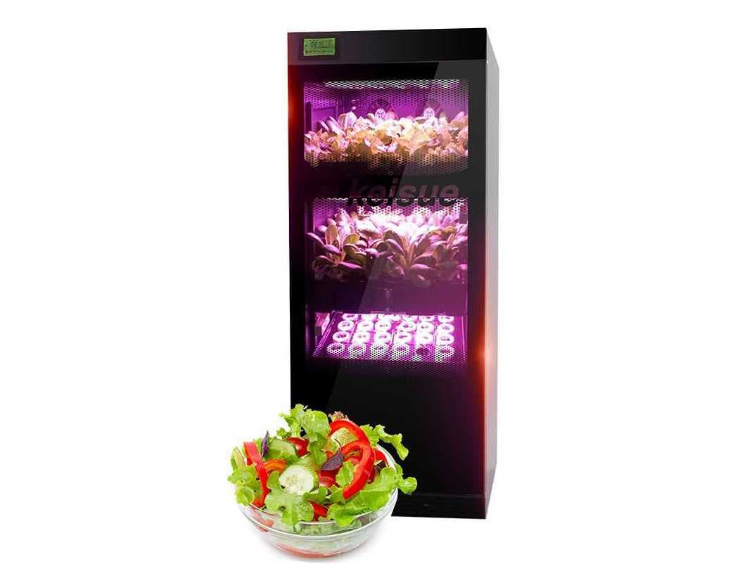 LED growing trays for vegetables and herbs
