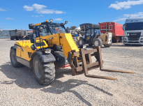 DEDALUS CHAPTER 30.7 2021 Auction: 3985/ML/AU/2026