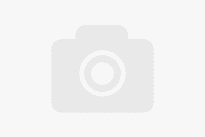 EMS PHYSIO PRIMO SHOCKWAVE EMS 560 1 Auction: 1252/SI/AU/2026