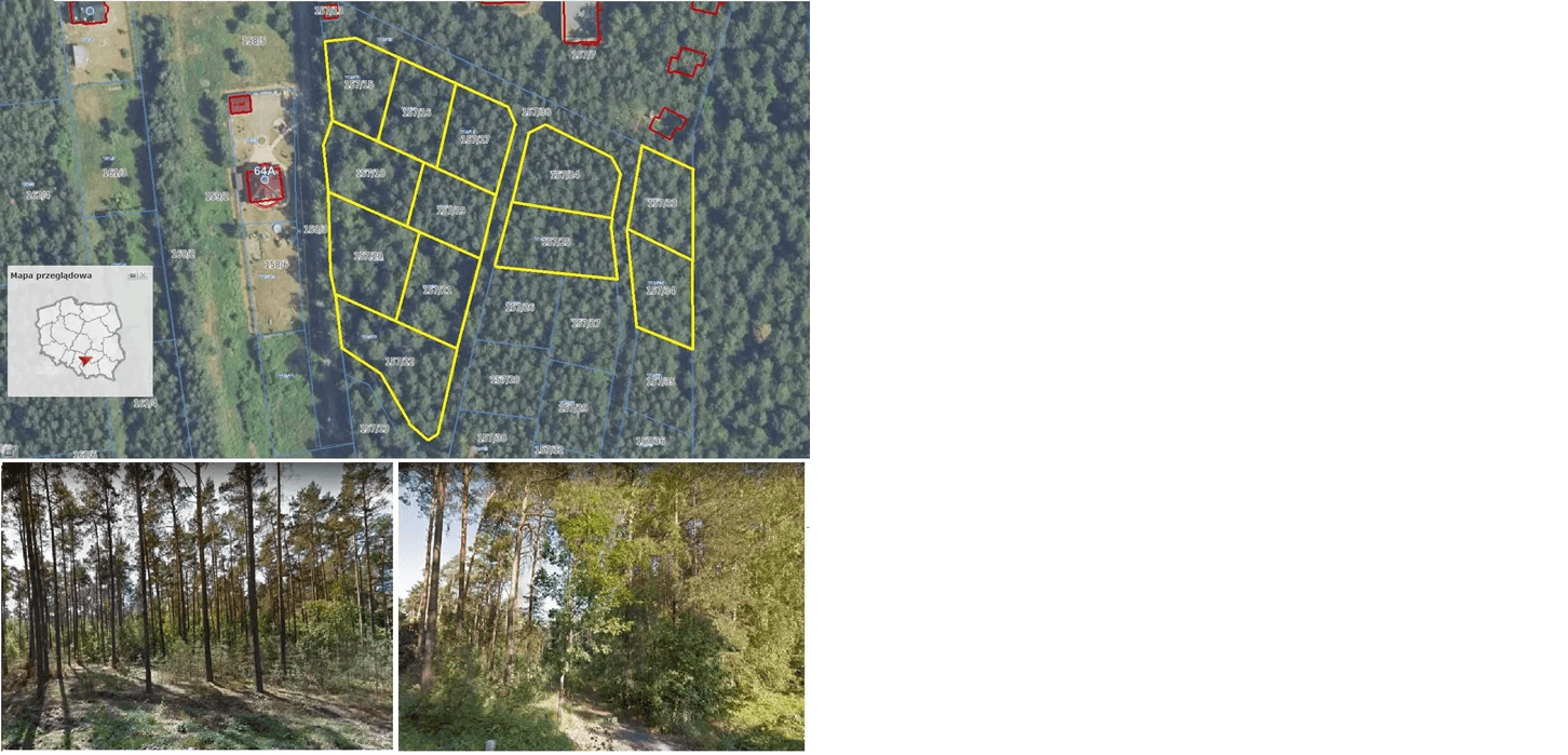The syndicate will sell unbuilt plots in Borkov