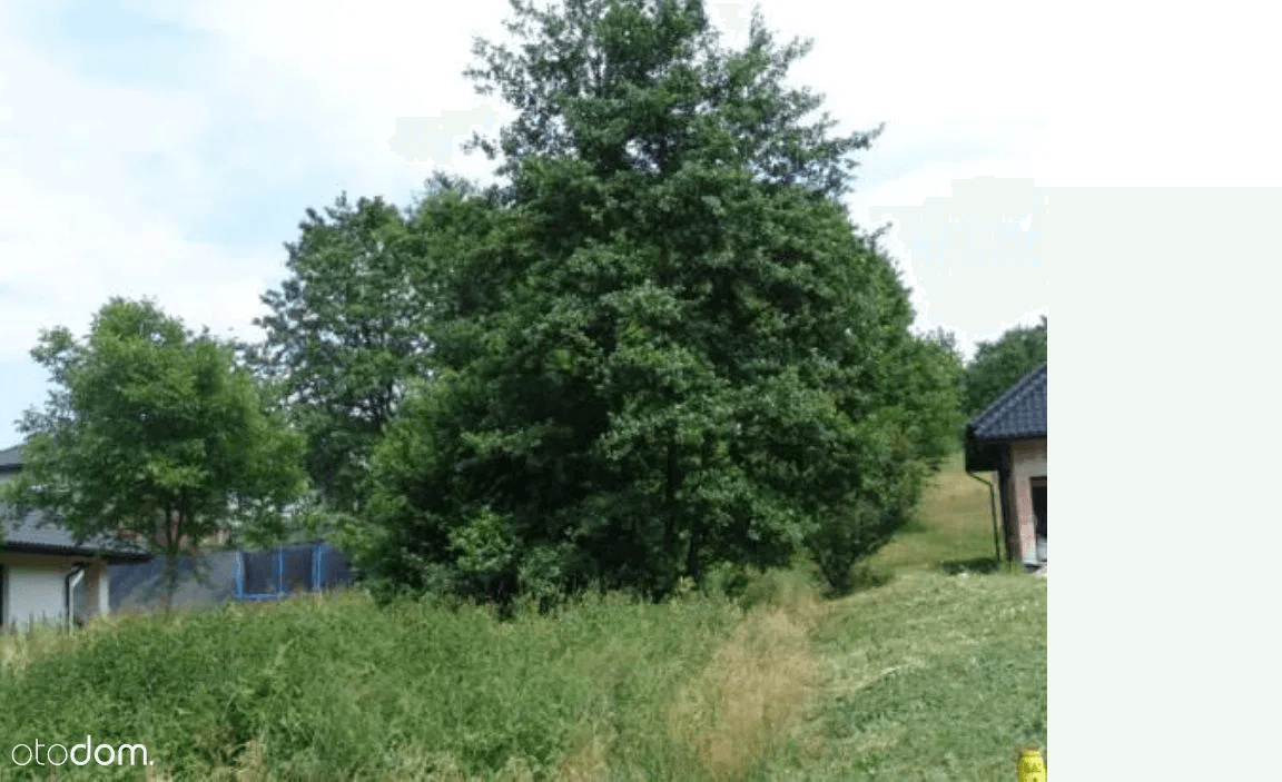 An opportunity to sell a plot around Wieliczka