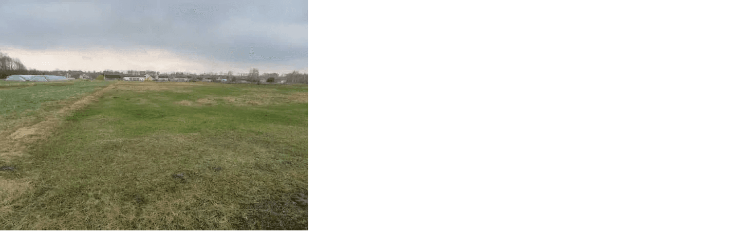 The syndicate will sell Olszewo's land property, Boćki, Pow. Bielski