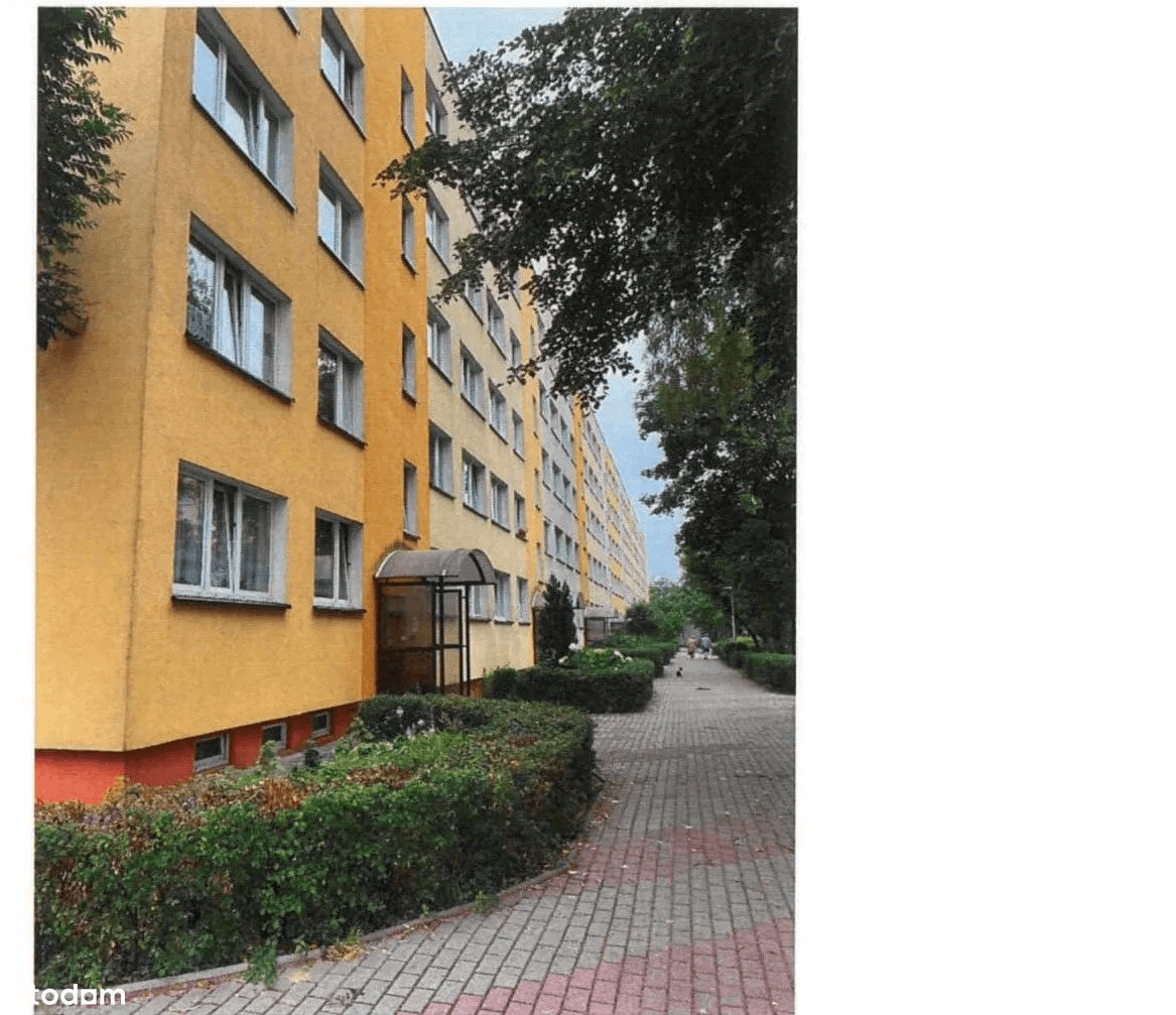 The syndicate will sell the apartment in Toruń
