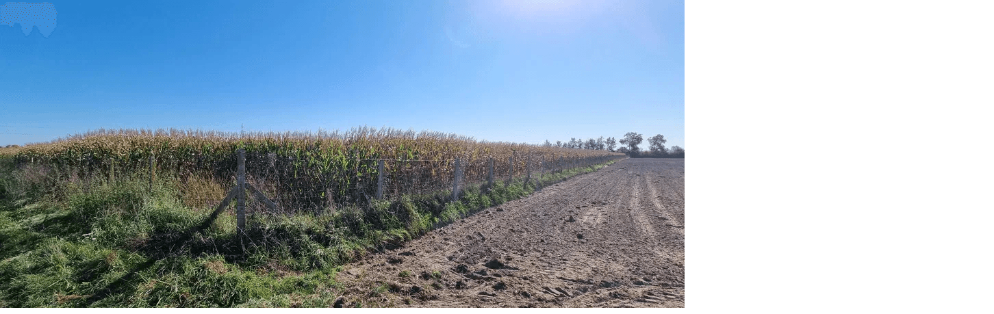 Syndic sells agricultural property near Sokołów Podlaski