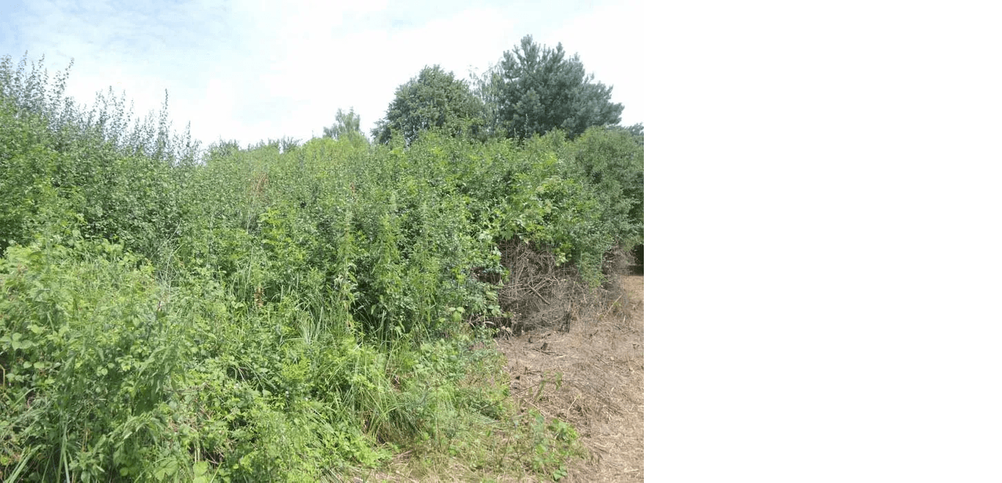Syndicate will sell share in the plot, Biskupice