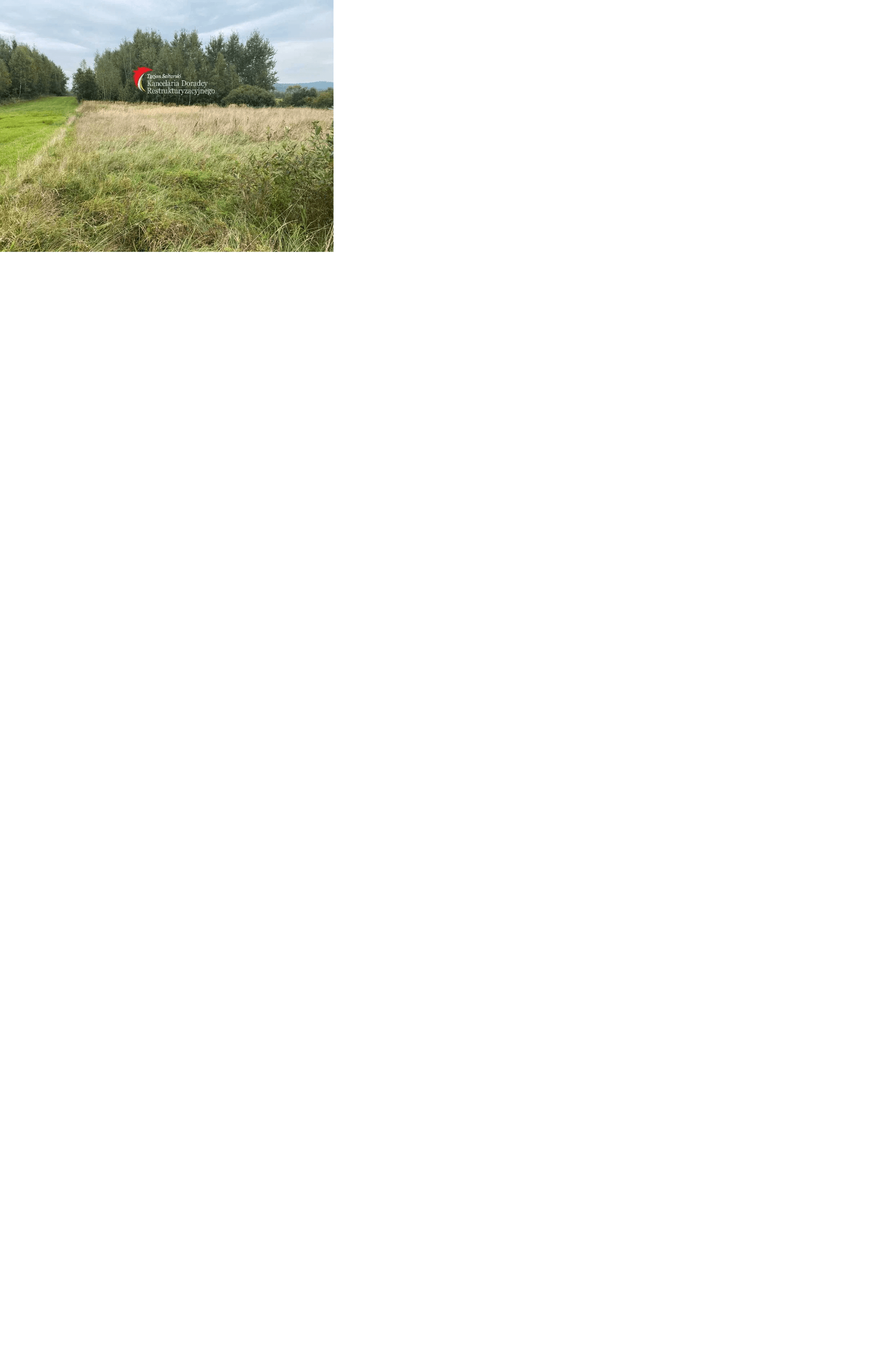 The syndicate will sell the plot at 14,39 ha in Butterwy Second.