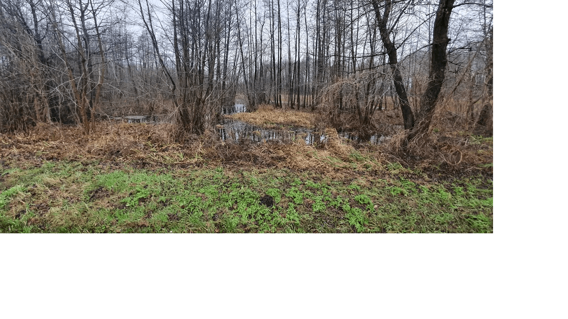 The syndicate will sell a share of 15/16 in 268 located in Ligowo