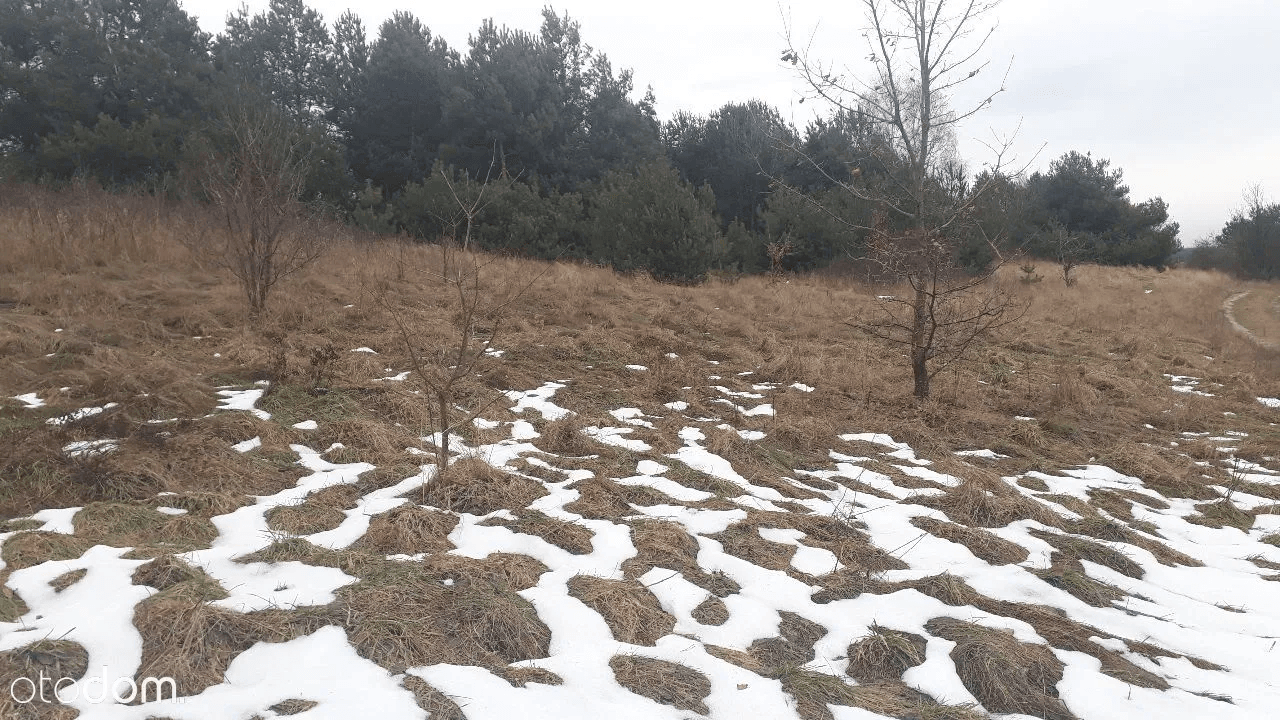 The syndicate will sell land property not built