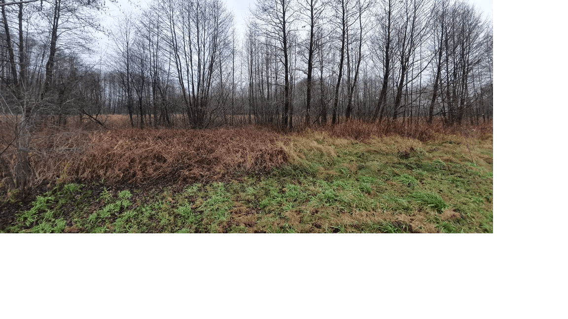 The syndicate will sell a share of 15/16 in plot No 268 located in Ligowo m.