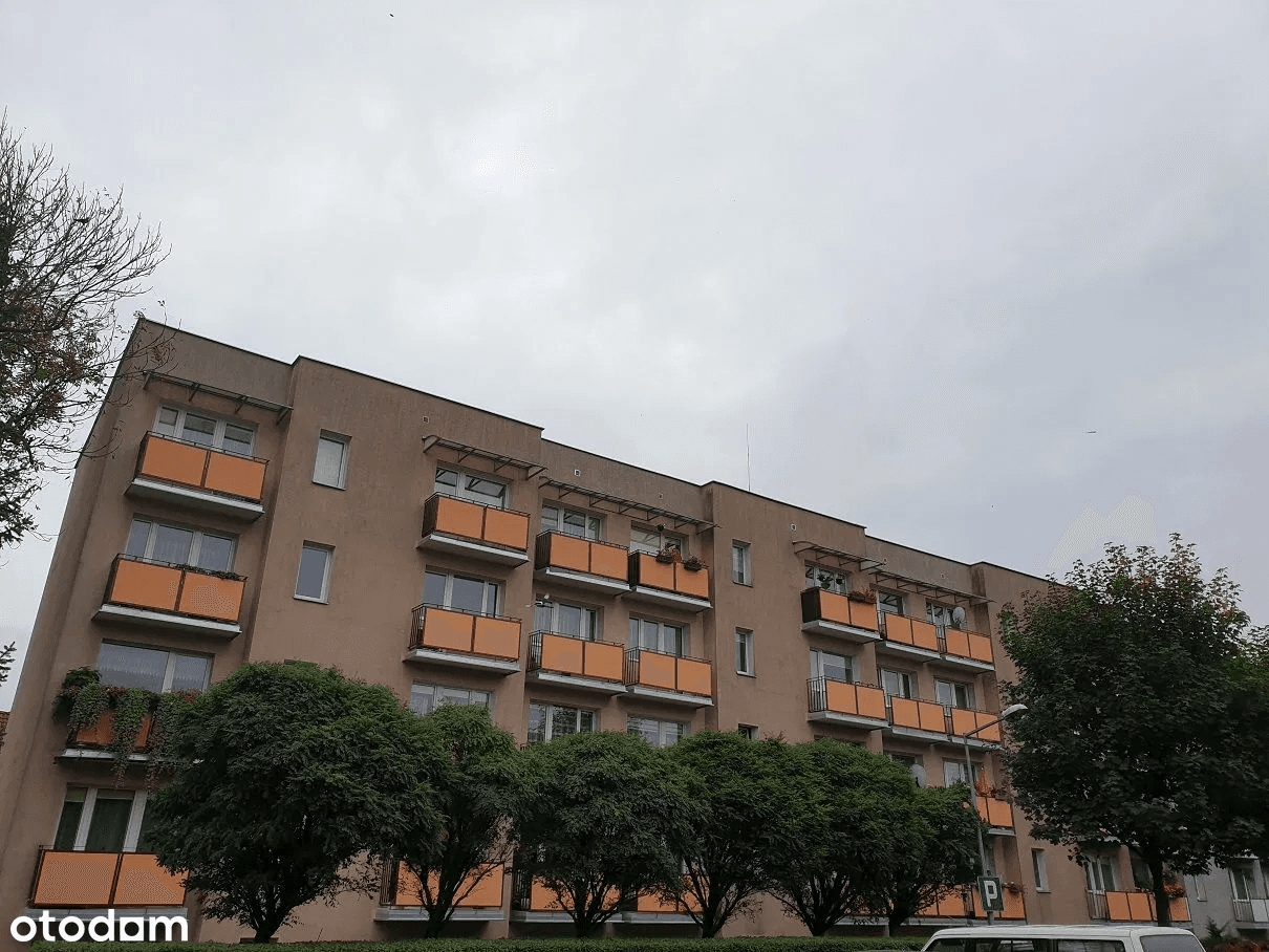 The syndicate will sell the apartment 40.60 m2, Elbląg