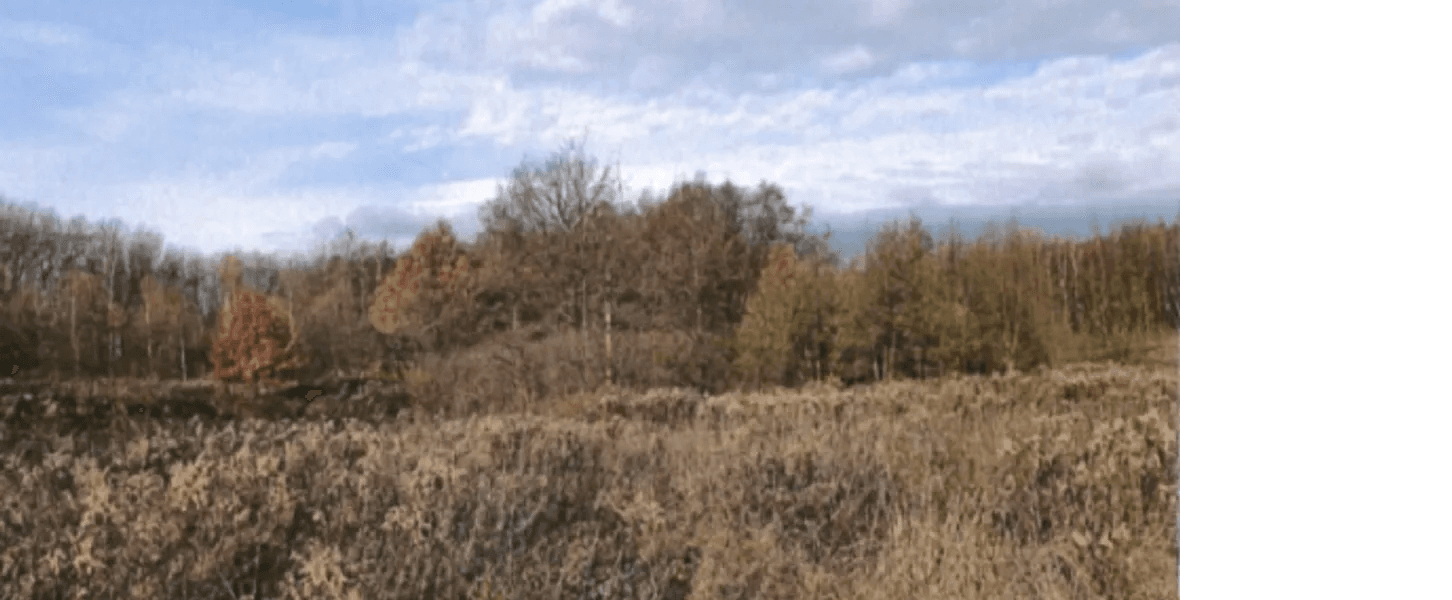 Syndicate will sell building plot in Tąpadła