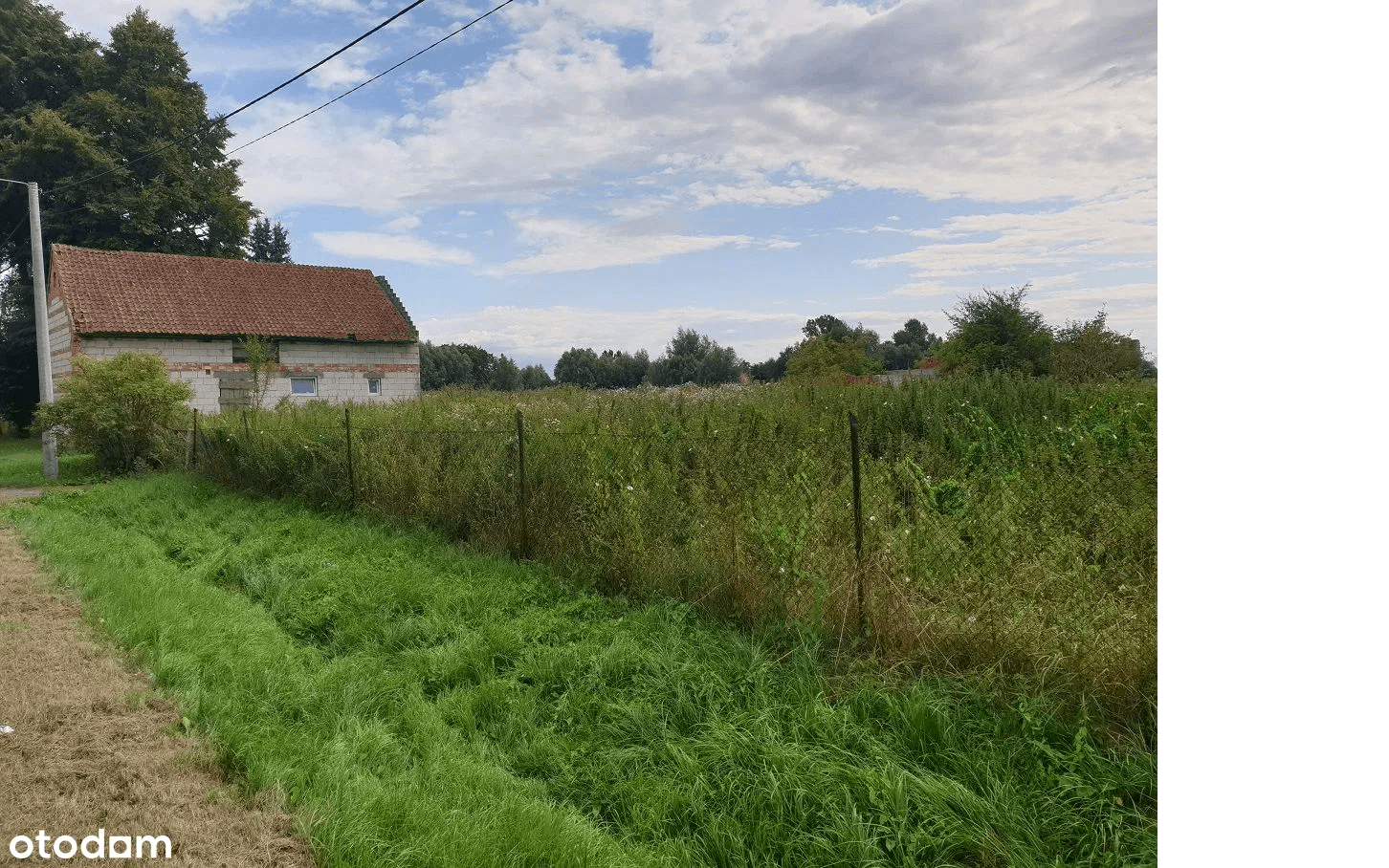 The syndicate will sell a share of 1/2 in real estate, Zebrovo