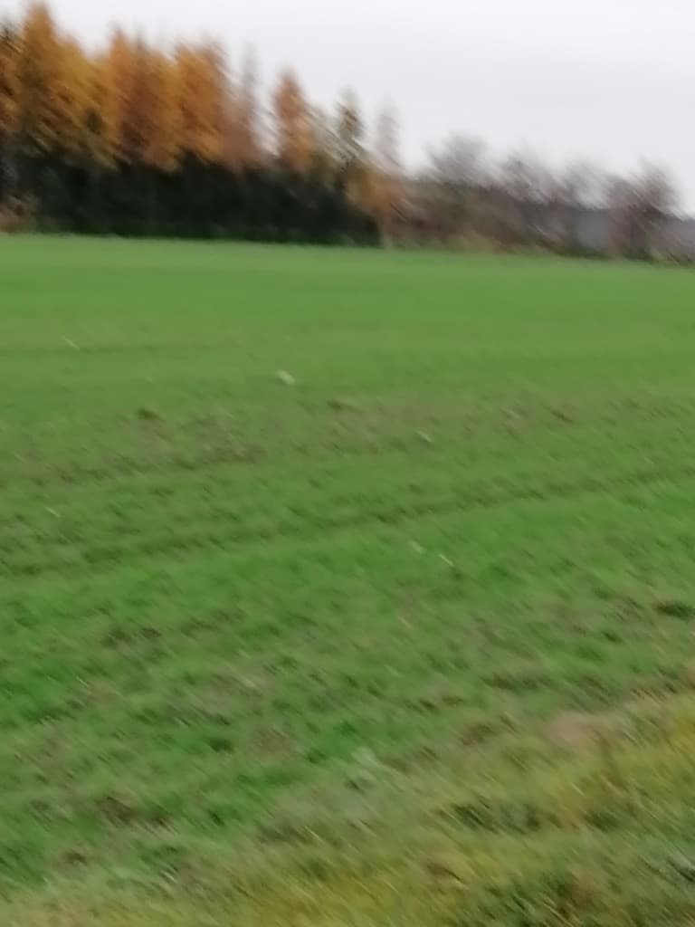 Syndic will sell unbuilt plot in Gołowierzchy
