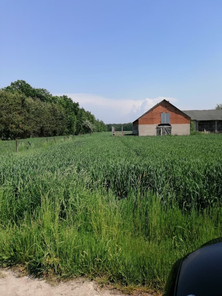 The syndicate will sell forest property in Holendernia