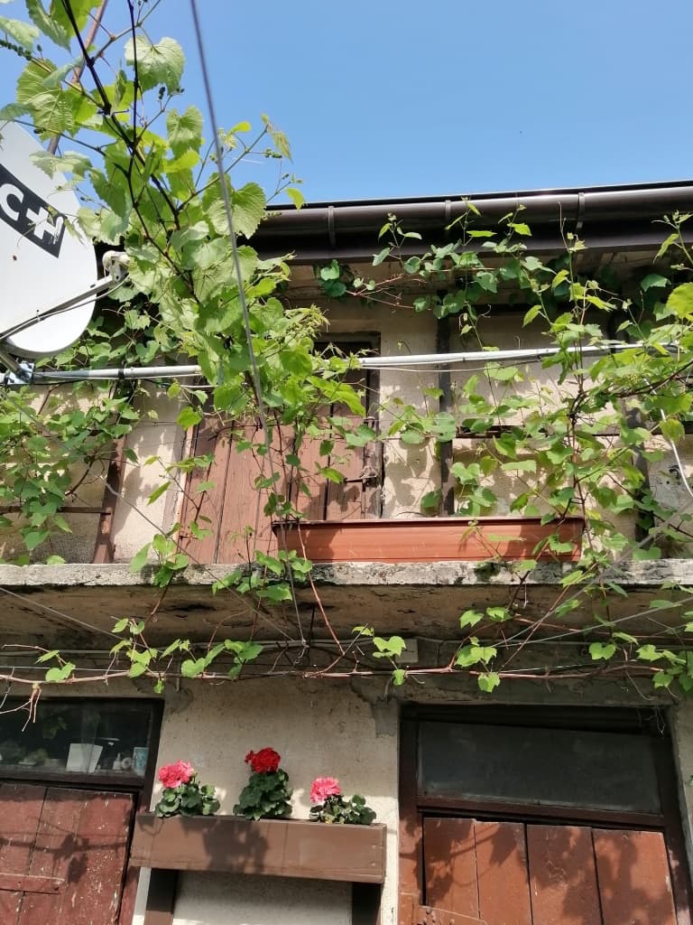 The syndicate will sell a 1/3 share of the family house in Łuków