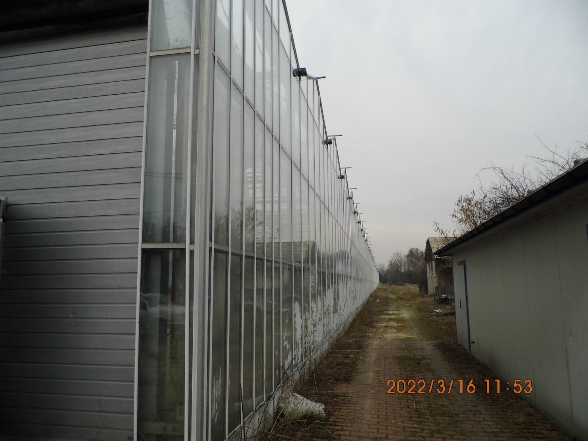Greenhouses near Opole Lubelskie