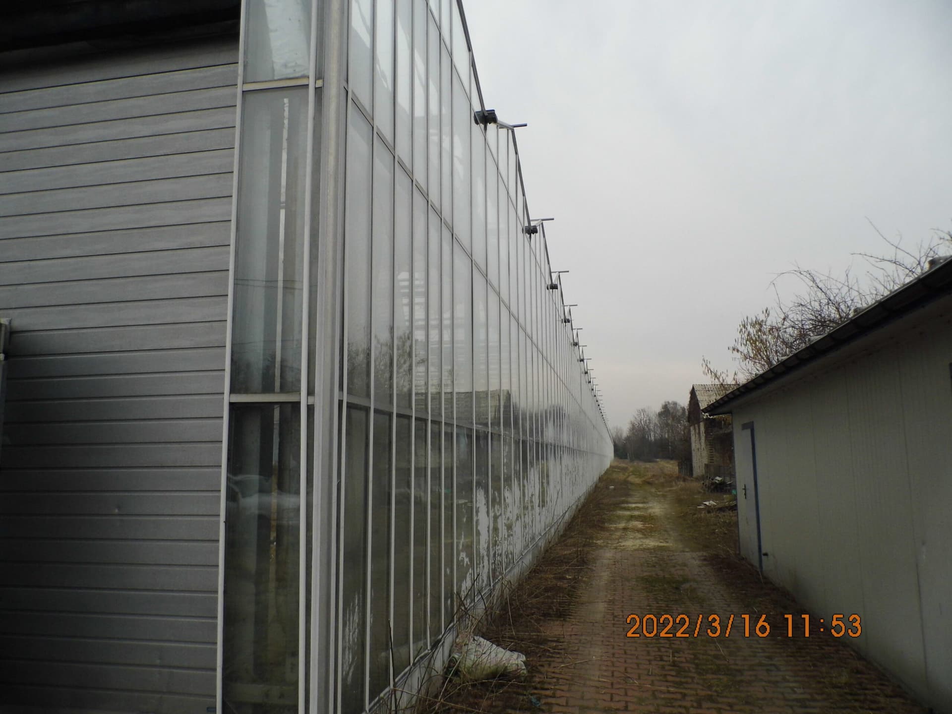 Syndicate sells greenhouses near Opole Lubelskie