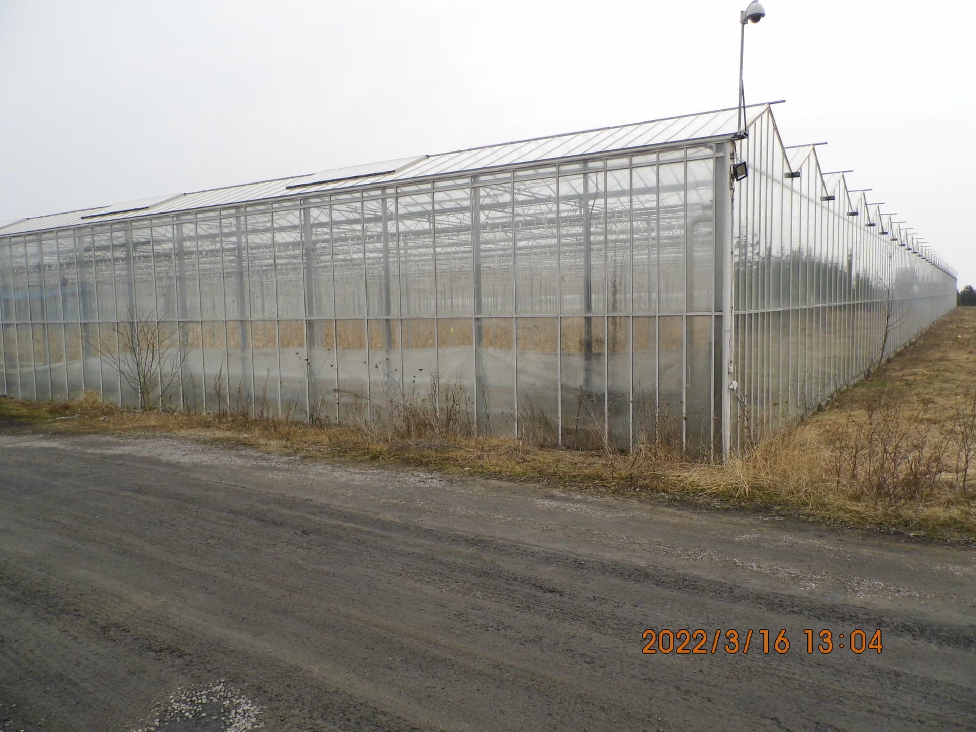 The trustee will sell greenhouses near Opole Lubelskie