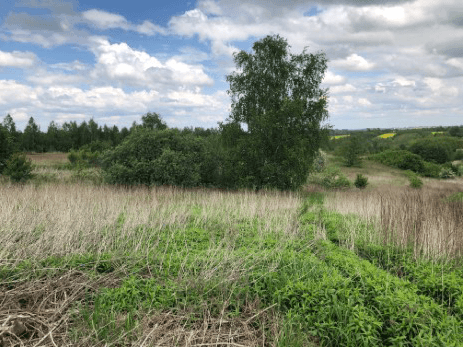 The syndicate will sell 24 agricultural land in Krzemienica