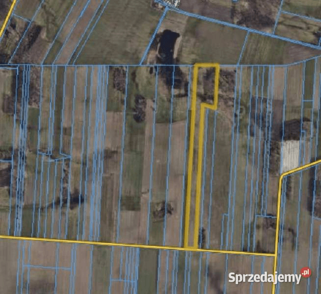 The syndicate will sell a share in Part 1/5 of agricultural plot No.104/5