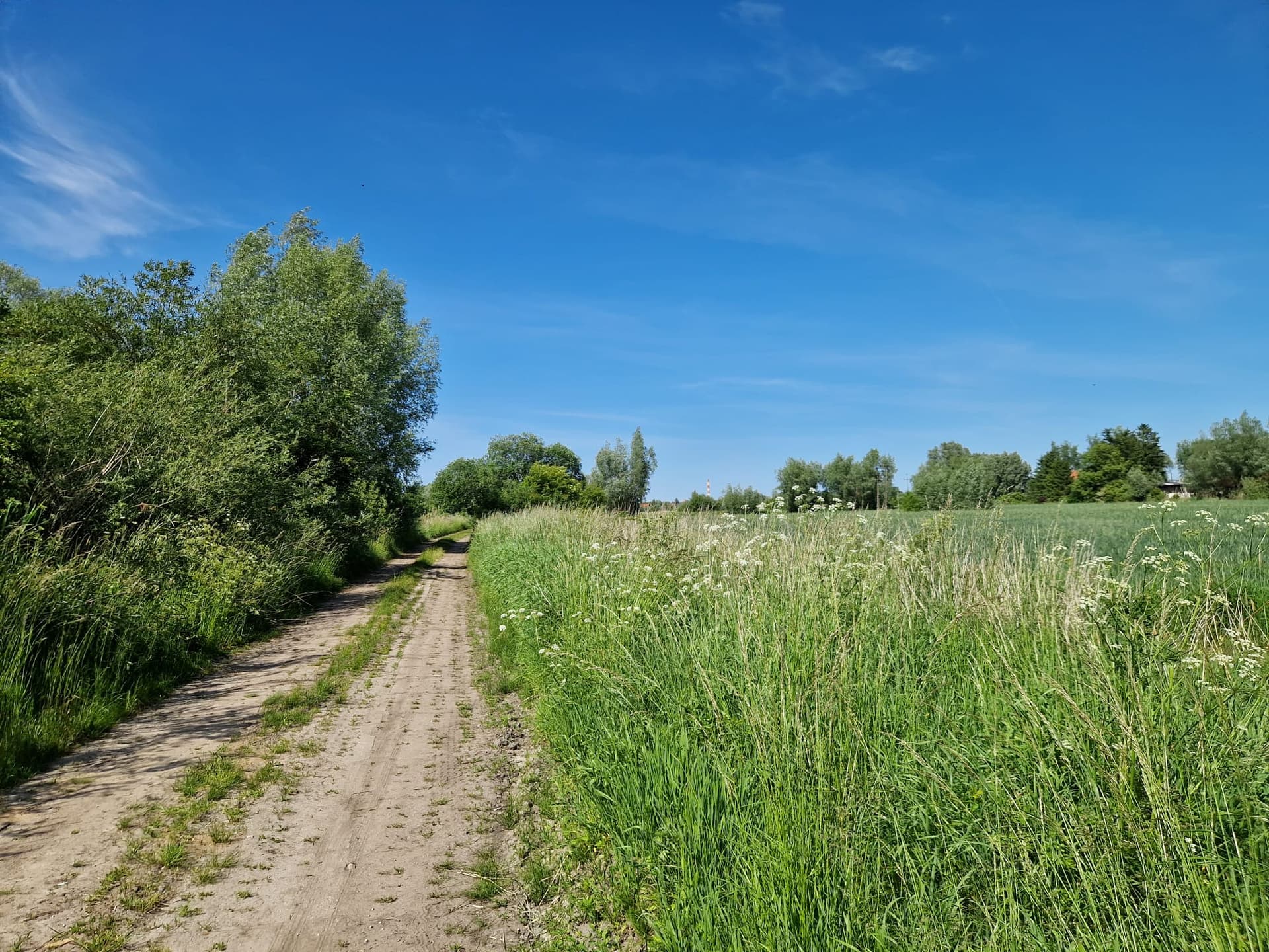 The Syndicate announces a competition for the sale of land ownership property which is not built into the site, purchased for investment purposes, for which the use is indicated as arable land.