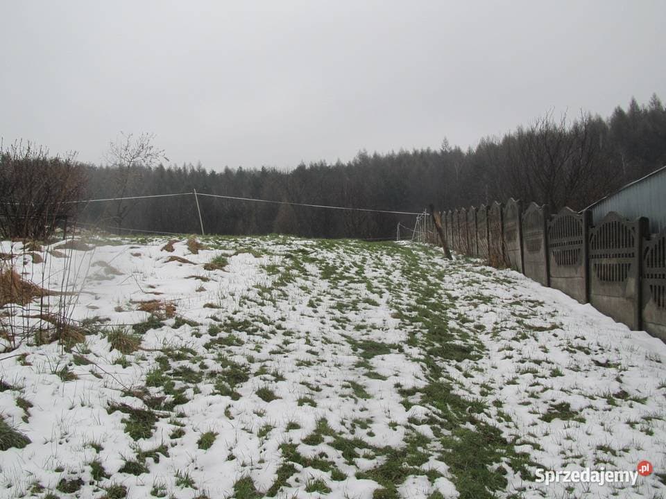 The trustee will sell a share of the land property
